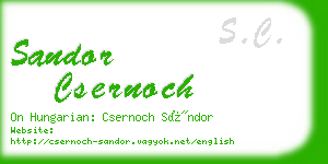 sandor csernoch business card